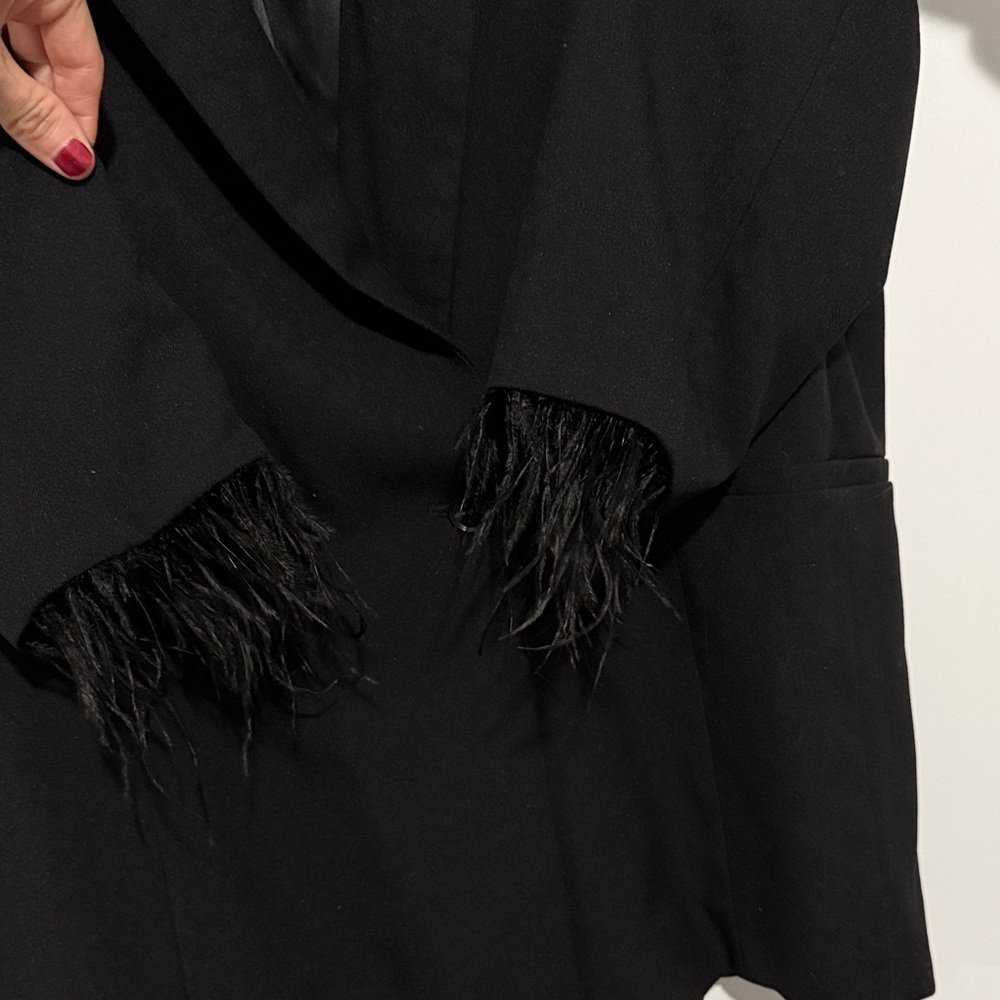 Hutch Elegant Black Blazer with Feather Accents - Picture 3 of 8